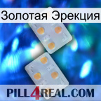 Золотая Эрекция 25